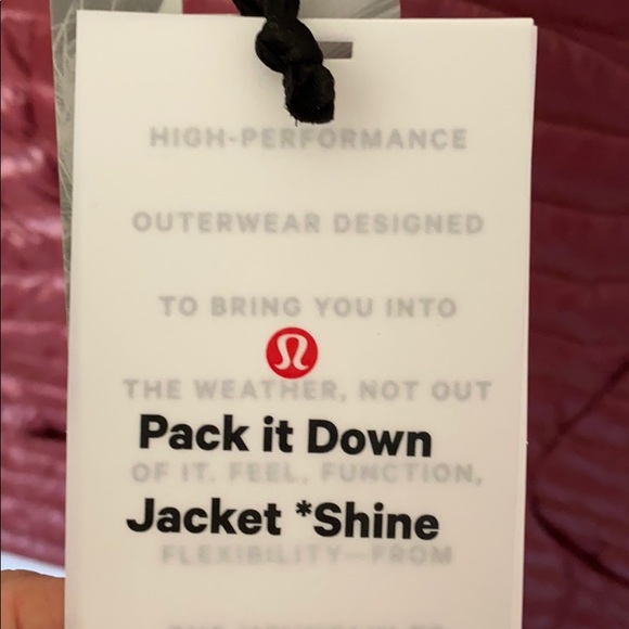 NWT Lululemon Pack it Down Jacket *Shine - Picture 3 of 8